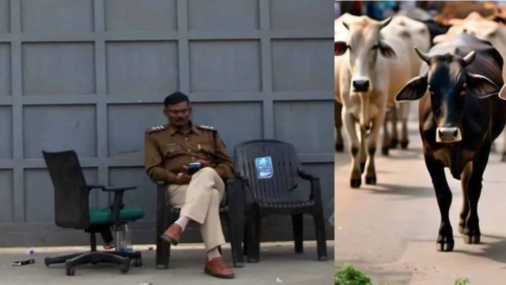 गोमांस को भैंस का सर्टिफाइड करता है डॉ. बीपी गौर, अत्याधुनिक पैकेजिंग कर दुबई सहित खाड़ी देशों में हो रहा सप्लाई