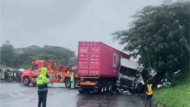 दक्षिण अफ्रीका में सड़क त्रासदी: टैक्सी-ट्रक टक्कर, 11 की मौत