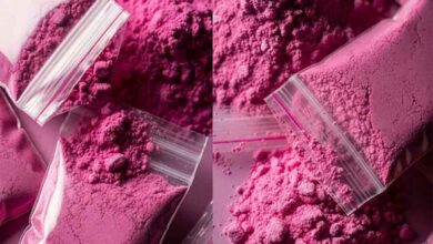 अमेरिका में गुलाबी कोकीन का खौफ: ट्रंप दौर में फैला नया नशा, सेवन करते ही शरीर पड़ता है नीला