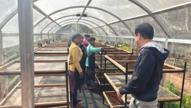 जशपुर में हरित तकनीक की पहल: DST प्रायोजित परियोजना से स्थापित हुआ सोलर टनल ड्रायर