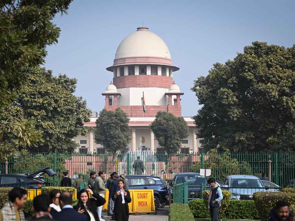 SC में सिब्बल की मांग– आवारा कुत्तों की हो नसबंदी, जज का तंज: काउंसिलिंग भी करवा दीजिए SC में सिब्बल की मांग– आवारा कुत्तों की हो नसबंदी, जज का तंज: काउंसिलिंग भी करवा दीजिए