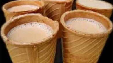 पर्यावरण के लिए नई पहल: कलेक्टर का अनोखा प्लान, अब पीने के बाद कप भी खा सकेंगे