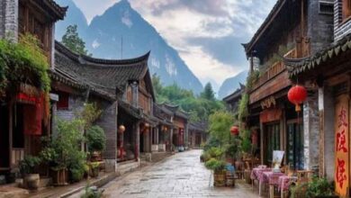 दुनिया का अद्भुत गांव: जहां हर व्यक्ति के पास सिर्फ एक ही किडनी है!