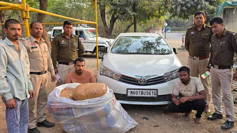 नशे के नेटवर्क पर करारा वार: 50 किलो गांजा जब्त, दो तस्कर गिरफ्तार