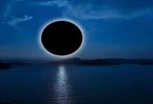 फाल्गुन अमावस्या की रात इन भूलों से रहें दूर, नहीं तो जीवन में आ सकती हैं बड़ी परेशानियाँ