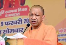 वन्यजीव संवेदनशील क्षेत्रों में सभी विकास कार्य वैज्ञानिक मानकों और पर्यावरणीय संतुलन के साथ हों: मुख्यमंत्री