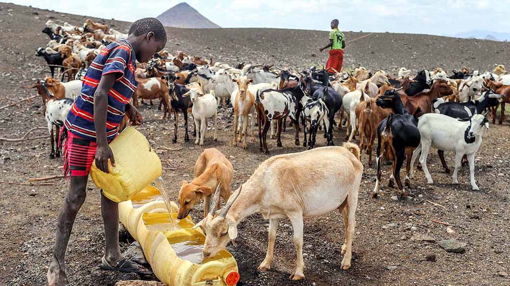 केन्या में सूखा: 20 लाख लोग भुखमरी की कगार पर, मौत का साया