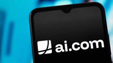 ₹300 का डोमेन बना 600 करोड़ की डील, 10 साल की उम्र में रचा इतिहास