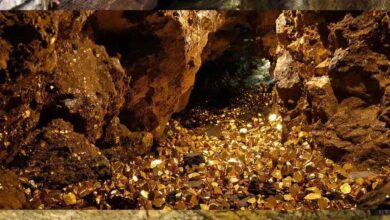 कटनी बना MP की पहली ‘स्वर्णनगरी’, 50 साल बाद मिली सोने की खदान, मार्च से शुरू होगा खनन