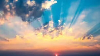 Madhya Pradesh में सर्दी की विदाई, दिन-रात का पारा 30°C के पार; 13-16 फरवरी को आएगा नया सिस्टम, पर असर कमजोर