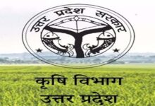 नकली बीजों पर लगेगी नकेल, गुणवत्ता का पूरा ब्यौरा देगा साथी पोर्टल