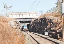 रातापानी में बनेंगे चार एनीमल ओवरपास, 10 साल में मिडघाट में 10 तेंदुए और 9 बाघ हुए मृत