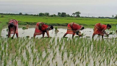 छत्तीसगढ़ सरकार की योजना: किसान तैयार हो जाएं, 1.5 लाख रुपये तक मिलेगा लाभ, जानें आवेदन प्रक्रिया