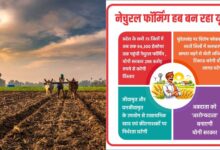 प्रदेश के सभी 75 जिलों में अब तक 94,300 हेक्टेयर तक पहुंची नेचुरल फॉर्मिंग, योगी सरकार 298 करोड़ रुपये से करेगी विस्तार