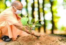 योगी सरकार-2026 में पूरे प्रदेश में लगाएगी 35 करोड़ पौधे