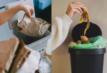 गलत दिशा में कूड़ेदान बना सकता है परेशानी का कारण, जानिए वास्तु शास्त्र के नियम