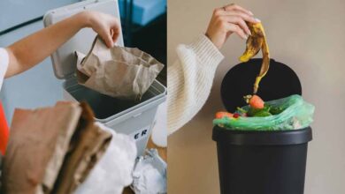 गलत दिशा में कूड़ेदान बना सकता है परेशानी का कारण, जानिए वास्तु शास्त्र के नियम