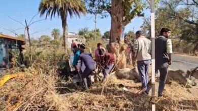 छत्तीसगढ़ से झारखंड गौवंश तस्करी का खुलासा, पुलिस पीछा में पलटी पिकअप, 3 गायों की मौत