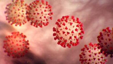 कोरोना जैसे लक्षण, फेफड़ों में एलर्जी और हाई ग्रेड फीवर: मरीजों की संख्या बढ़ी, डॉक्टर्स की चिंता