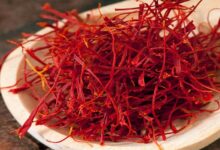 कश्मीर में केसर उत्पादन में गिरावट, किसानों ने सोलर पंप लगाने की उठाई मांग