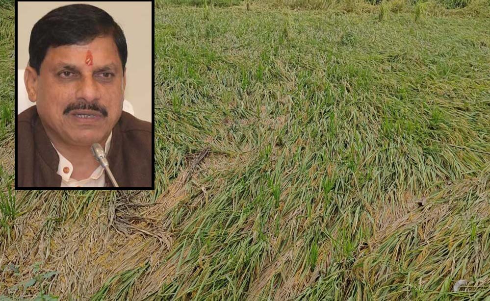 एमपी के 25 जिलों में बारिश से फसलें बर्बाद, सीएम मोहन ने दिए तत्काल राहत के निर्देश एमपी के 25 जिलों में बारिश से फसलें बर्बाद, सीएम मोहन ने दिए तत्काल राहत के निर्देश