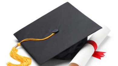 एमपी में जल्द शुरू होगा मंदिर प्रबंधन से पोस्ट ग्रेजुएशन और डिप्लोमा, धार्मिक पर्यटन को मिलेगा बढ़ावा