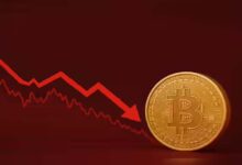 Bitcoin Crash: 40% गिरा बिटकॉइन का भाव, गिरावट में भी खरीदार नहीं दिखे