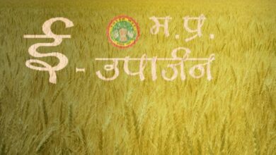 4 लाख 42 हजार से अधिक किसानों ने समर्थन मूल्य पर गेहूँ उपार्जन के लिये कराया पंजीयन 4 लाख 42 हजार से अधिक किसानों ने समर्थन मूल्य पर गेहूँ उपार्जन के लिये कराया पंजीयन
