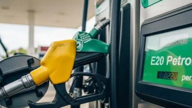 सरकार का बड़ा ऐलान: 1 अप्रैल से पूरे देश में E20 एथेनॉल ब्लेंड पेट्रोल की बिक्री