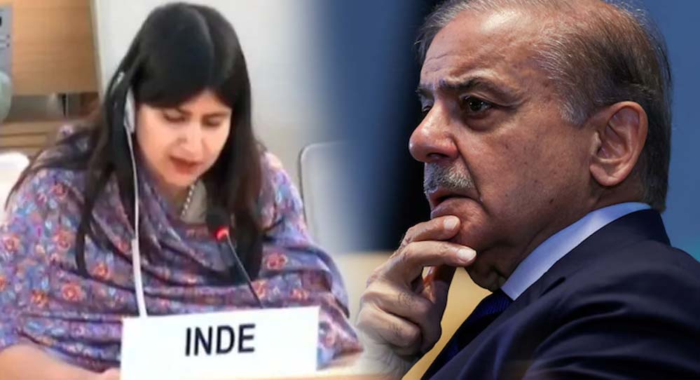 भारत ने UN में खुली पाकिस्तान की पोल, कहा– हमारा कश्मीर बजट IMF कर्ज से भी दोगुना