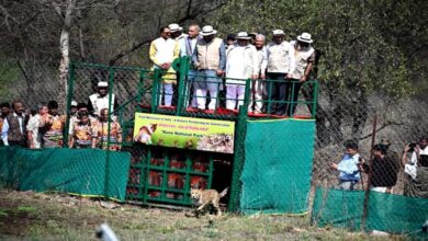 मिशन चीता की नई सफलता, बोत्सवाना से 9 और चीते कूनो पहुंचे, भारत में संख्या हुई 48