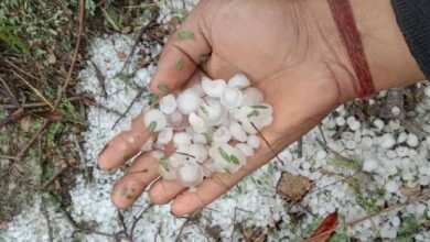 बारिश, ओले, कोहरा और बिजली गिरने का अलर्ट, मुंबई से दिल्ली तक रखें सावधानी