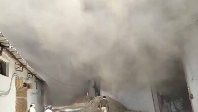 इंडस्ट्रियल एरिया में पेंट–पुट्टी फैक्ट्री में भीषण आग, इलाके में दहशत; दमकल की कई गाड़ियां तैनात