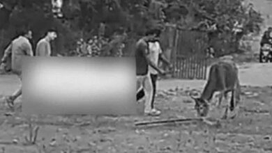 रायसेन में दुष्कर्म की कोशिश के बाद युवती की हत्या, भागते आरोपी को ग्रामीणों ने पकड़ा; अस्पताल में मौत