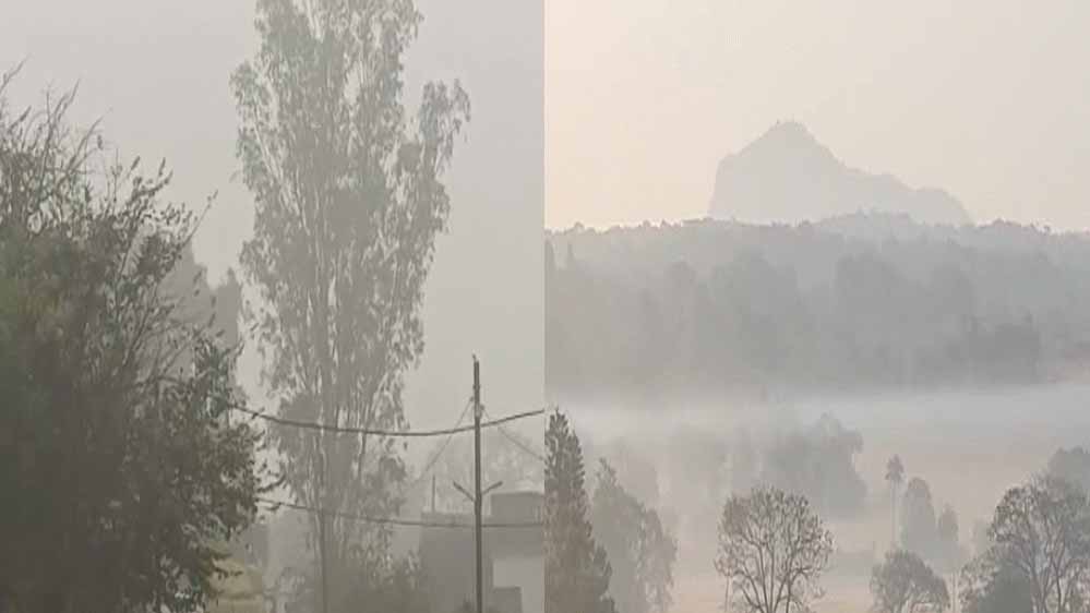 एमपी में घना कोहरा, 12 से ज्यादा ट्रेनें लेट; मालवा एक्सप्रेस 8 घंटे देरी से, शाजापुर में हादसे में युवक की मौत