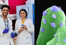 भारतीय वैज्ञानिकों ने मंगल की मिट्टी से ईंट बनाने की तकनीक विकसित, भविष्य के मंगल मिशन होंगे आसान