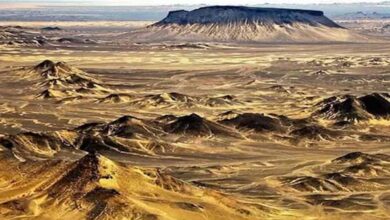 दुनिया के सबसे बड़े सोने के भंडार पर ट्रंप की नजर, बलूचिस्तान में अमेरिका ने झोंका पैसा, पाक का खजाना होगा लुटता दुनिया के सबसे बड़े सोने के भंडार पर ट्रंप की नजर, बलूचिस्तान में अमेरिका ने झोंका पैसा, पाक का खजाना होगा लुटता