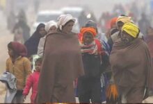 MP में अगले 2 दिन तेज सर्दी, कटनी-शहडोल में सबसे कम तापमान, भोपाल-इंदौर में लुढ़का पारा