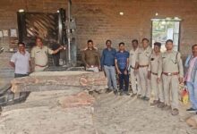 सक्ती वन परिक्षेत्र एवं उड़नदस्ता की संयुक्त कार्रवाई