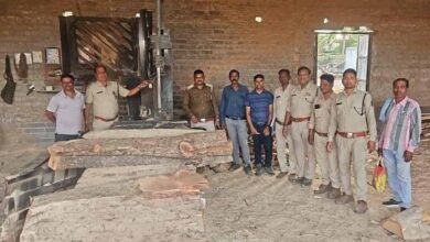 सक्ती वन परिक्षेत्र एवं उड़नदस्ता की संयुक्त कार्रवाई