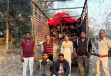 खैर लकड़ी की अंतर्राज्यीय तस्करी का भंडाफोड़