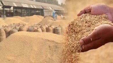 407 करोड़ का आज होगा भुगतान, 106830 किसान होंगे लाभान्वित