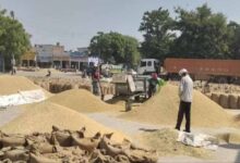 धान उपार्जन में बड़ा फर्जीवाड़ा, राइस मिल के मुंशी समेत 4 गिरफ्तार