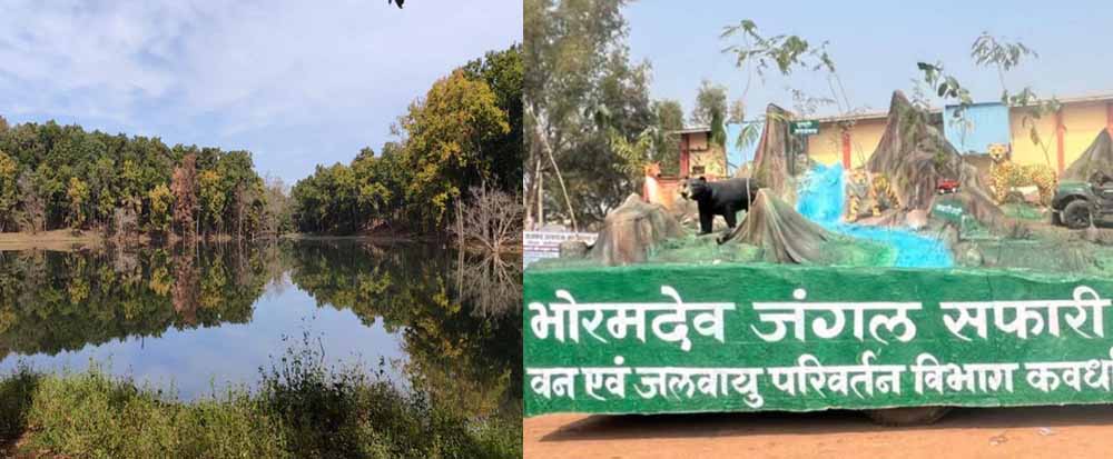 भोरमदेव में शुरू होगी जंगल सफारी, 17 बार नदी पार करने का मिलेगा रोमांचक अनुभव भोरमदेव में शुरू होगी जंगल सफारी, 17 बार नदी पार करने का मिलेगा रोमांचक अनुभव