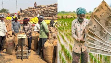 किसानों को 1508 करोड़ रुपए किए भुगतान, समर्थन मूल्य पर हुई धान खरीदी