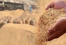550 किसानों को फिर मिला धान बेचने का मौका, धान खरीदी तिथि दो दिन और बढ़ाई