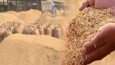 550 किसानों को फिर मिला धान बेचने का मौका, धान खरीदी तिथि दो दिन और बढ़ाई