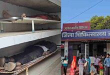 तेज रफ्तार पिकअप ने 3 लाेगाें को रौंदा, दो की मौत और एक गंभीर