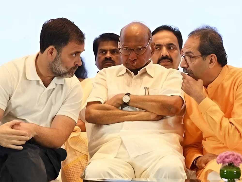 RS सीट पर उद्धव सेना ने ठोंका दावा, MVA के पवार भी ‘वापसी’ को तैयार