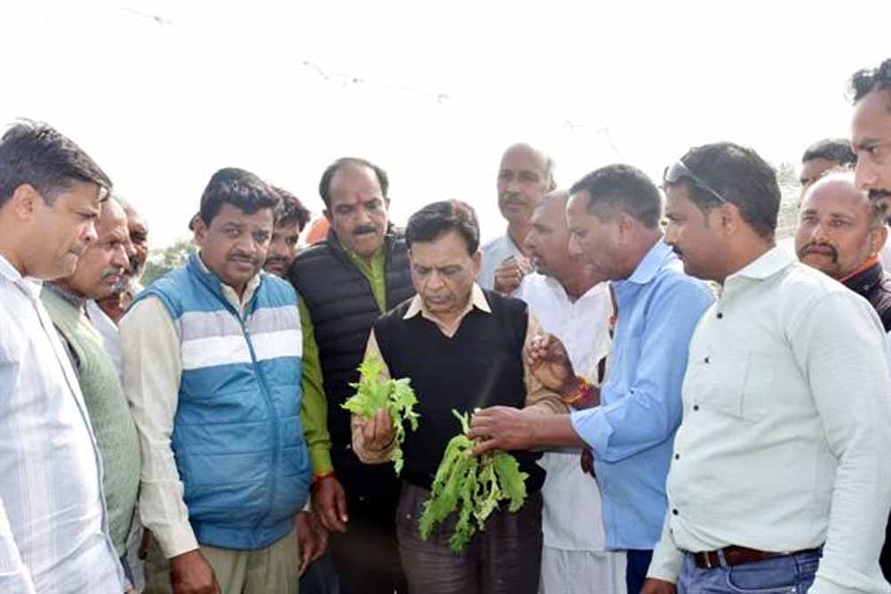 उप मुख्यमंत्री  देवड़ा ने किया ओलावृष्टि प्रभावित फसलों का निरीक्षण